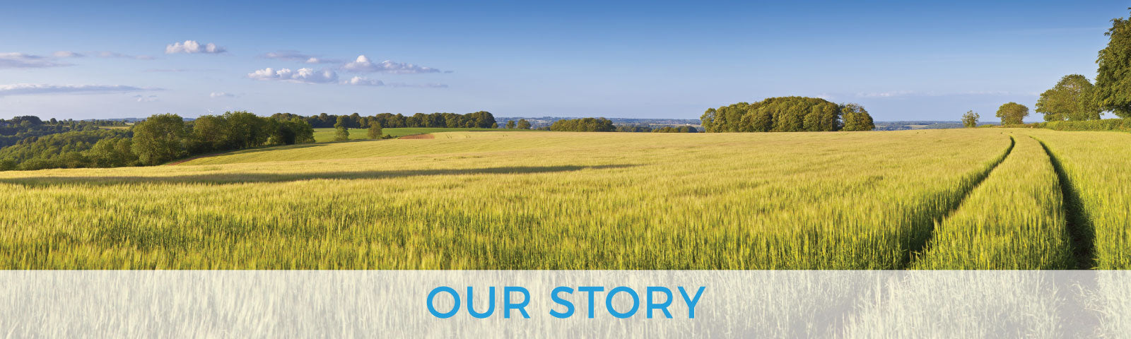 Wheat field with 'Our Story' text overlay